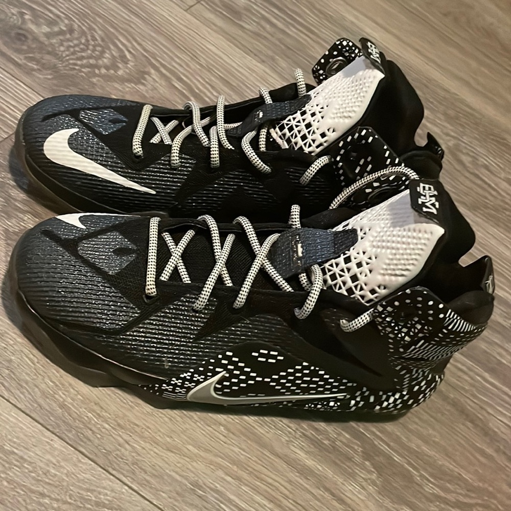 Nike Lebron James 12